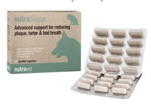 תוסף תזונה לכלבים וחתולים של נוטרה - וט המקל על ריח רע מהפה ומסייע בשמירה על השיניים, מעוצב בירוק וחום.