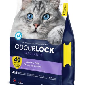 חול חתולים מתגבש קנדי Odourlock בריח Lavender field שק במשקל 12 קילוגרם