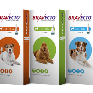 אמפולת ברבקטו נגד פרעושים וקרציות לכלב