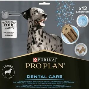 DentalCare חטיף דנטלי