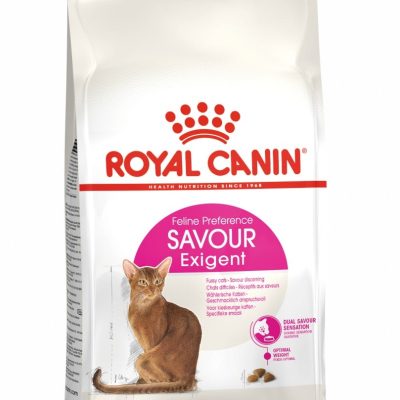 16-savour-exign