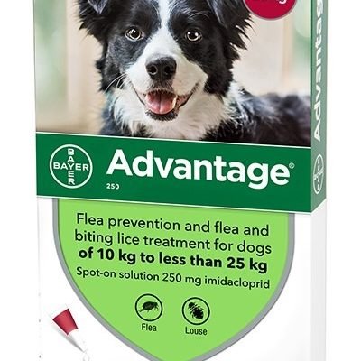 Advantage 250 for dogs 10-25 kg