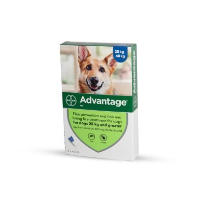 Advantage 400 for dogs 25 kg