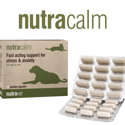 Nutravet Nutracalm fast acting support for stress & anxiety (15 caps)