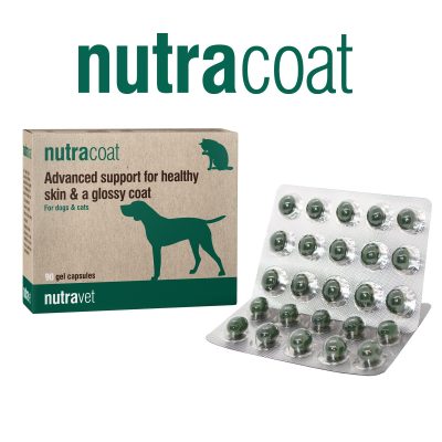 Nutravet Nutracoat advanced support for healthy skin & glossy coat