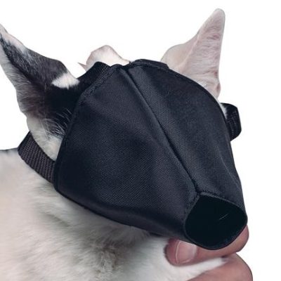 USTER nylon muzzle for cat unisize