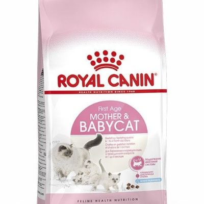 babycat-rn17-packshot