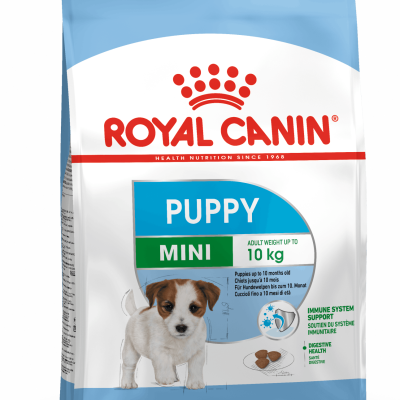 packshot-puppy-