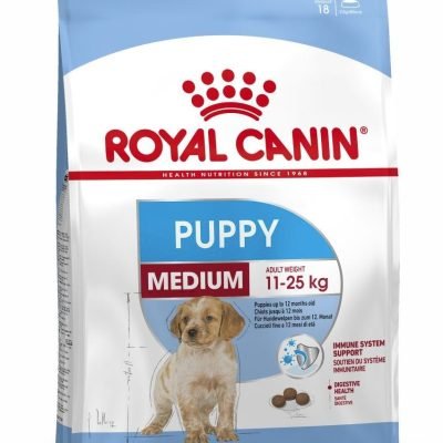 packshot-puppy-medium-shn17