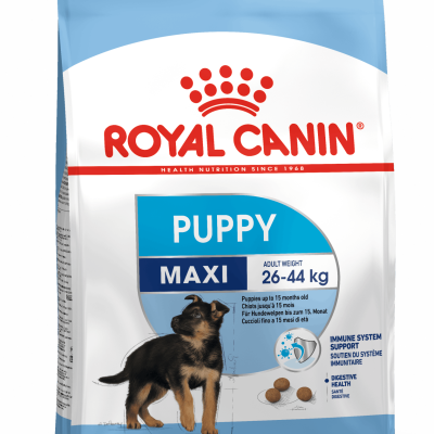 packshot-puppyhn17