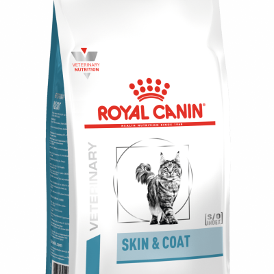 vhn-dermatology-skin-coat-catpng