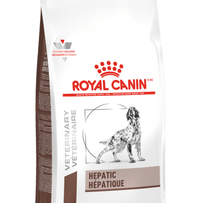 vhn-gastrointestinal-hepatic-dog-dry-packshot-b2ca