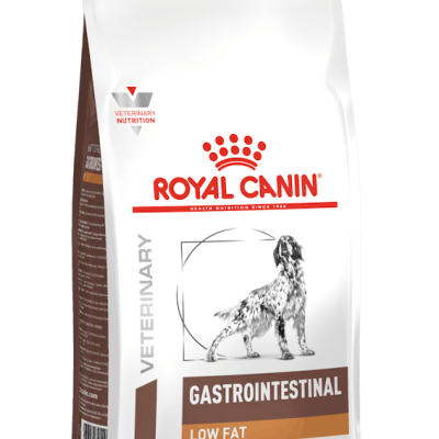 vhn-gastrointestinal-low-fat-dog-dry-packshot