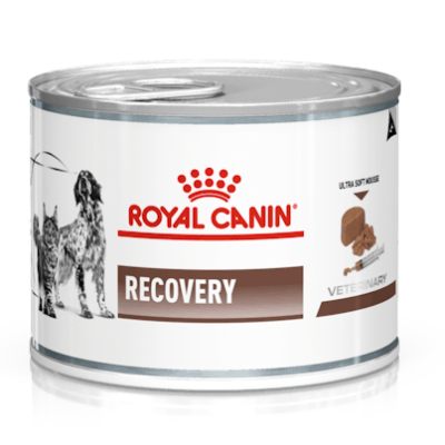 vhn-gastrointestinal-recovery-cat-dog-loaf-can-packshot