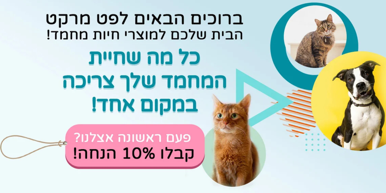 דף בית